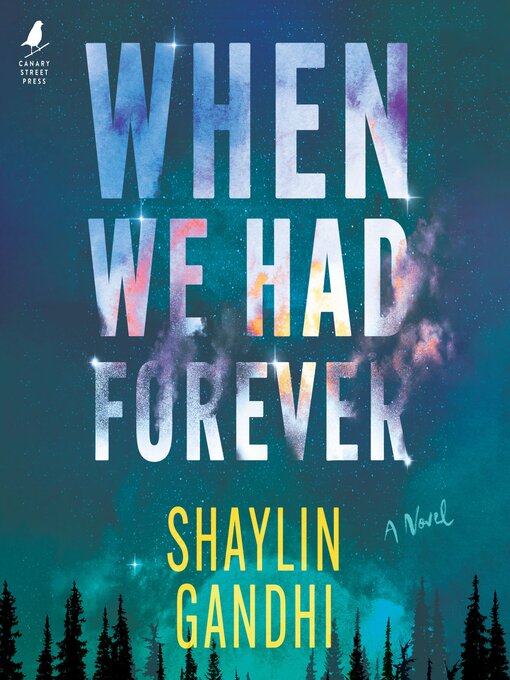 Title details for When We Had Forever by Shaylin Gandhi - Available